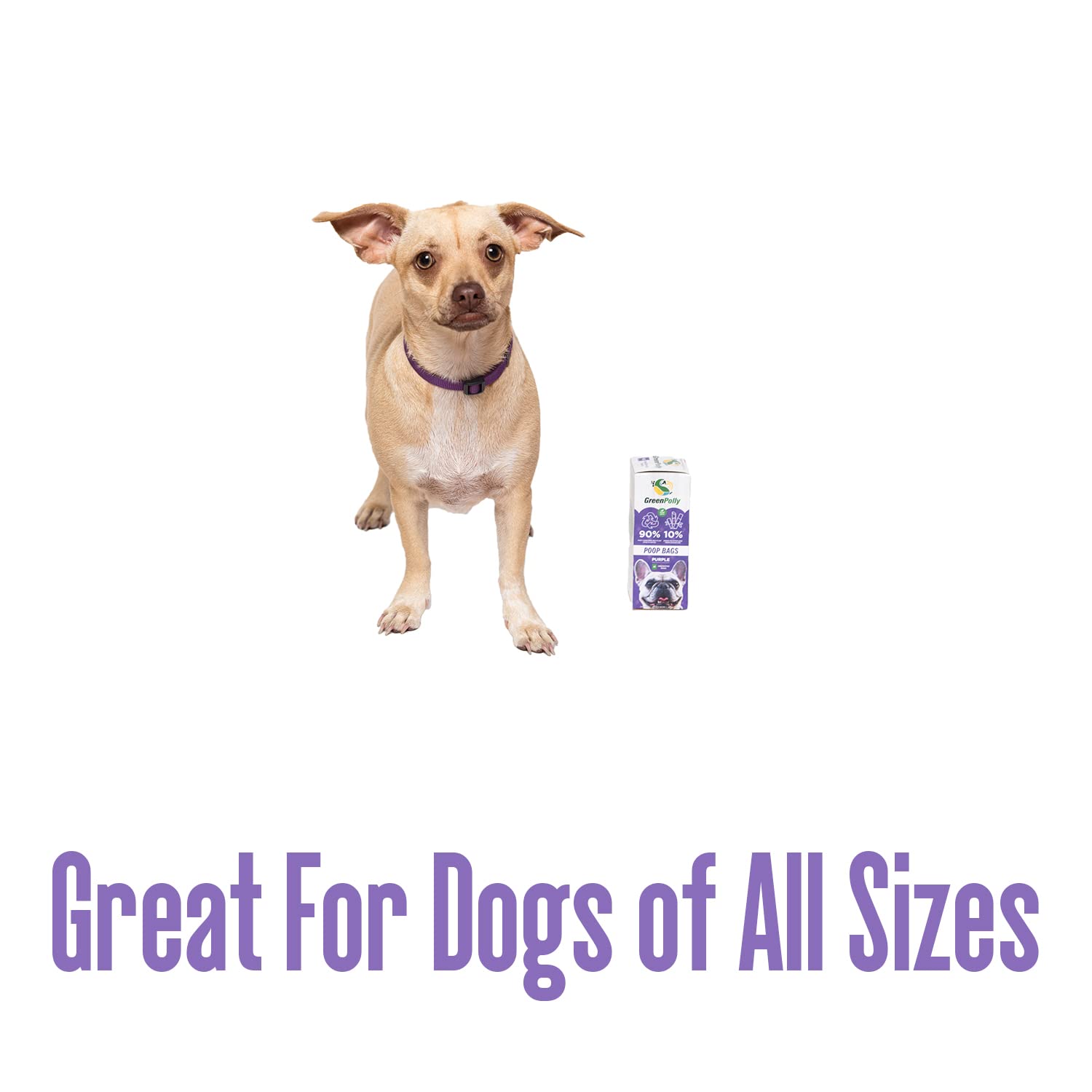 GreenPolly Dog Poop Bags Purple Leak-Proof Pet Waste Bags – Extra Strong for All Dog Sizes – Recycled Material