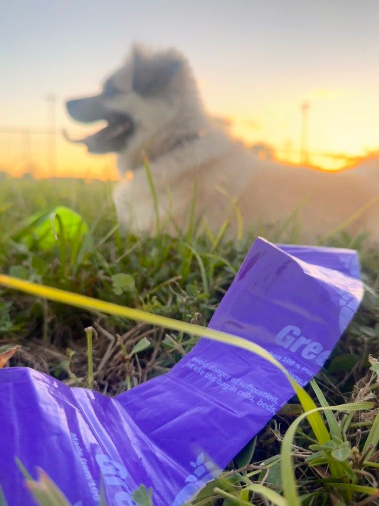 GreenPolly Pet Waste & Poop Bags– 100% Recycled Plastic, Leak-Resistant, Fits Leash Dispensers